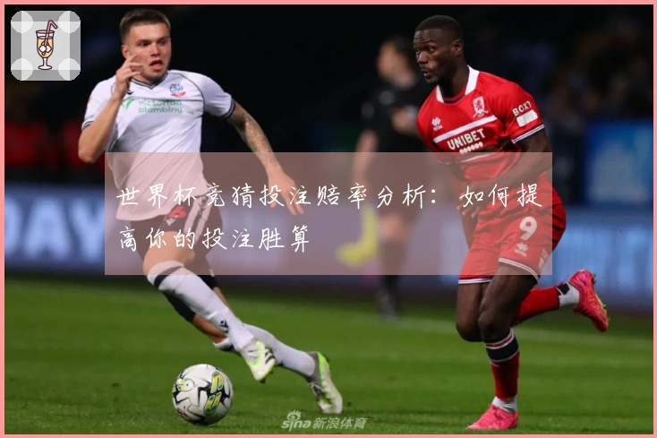 世界杯竞猜投注赔率分析：如何提高你的投注胜算