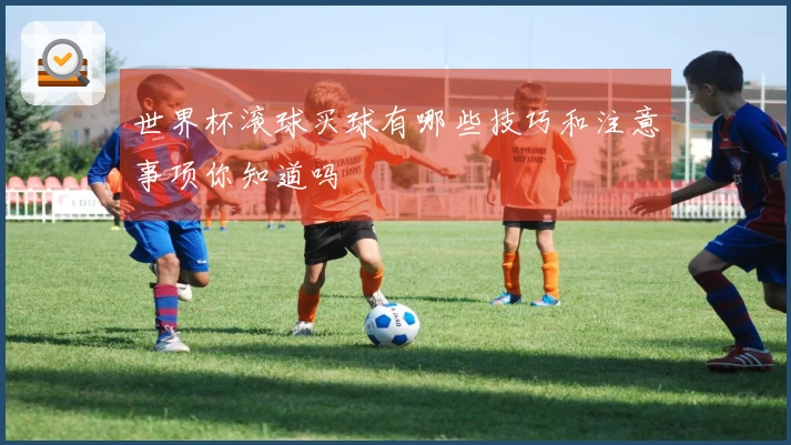 世界杯滚球买球有哪些技巧和注意事项你知道吗