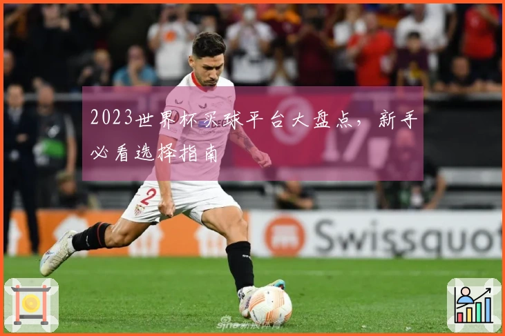 2023世界杯买球平台大盘点，新手必看选择指南