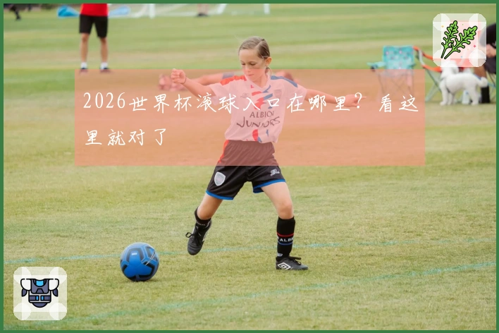 2026世界杯滚球入口在哪里？看这里就对了