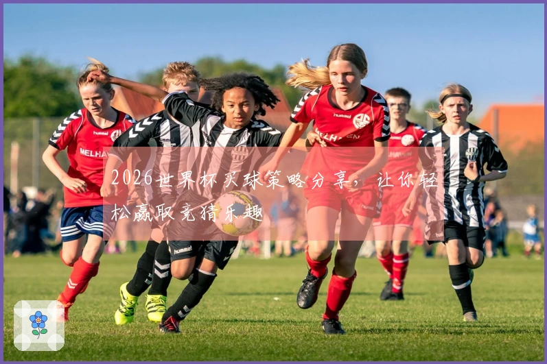 2026世界杯买球策略分享，让你轻松赢取竞猜乐趣