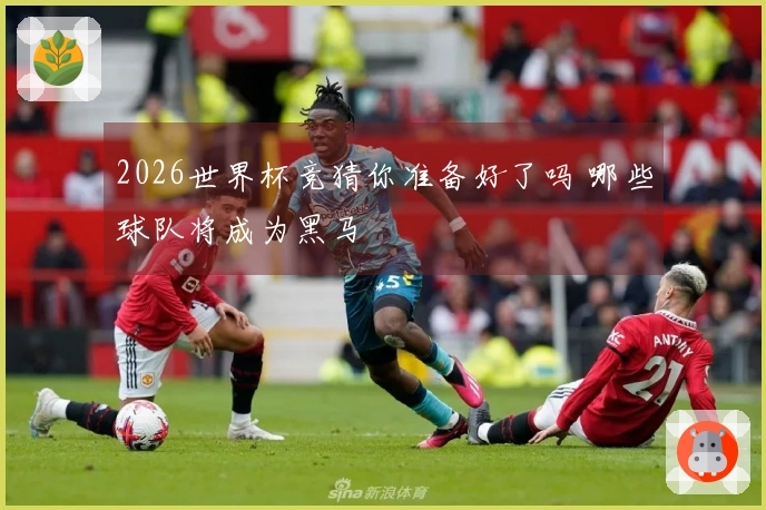 2026世界杯竞猜你准备好了吗 哪些球队将成为黑马