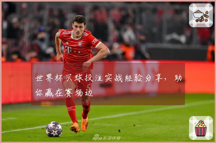 世界杯买球投注实战经验分享，助你赢在赛场边