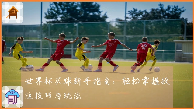 世界杯买球新手指南，轻松掌握投注技巧与玩法