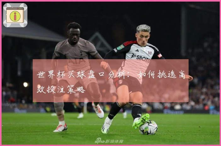 世界杯买球盘口分析：如何挑选高效投注策略
