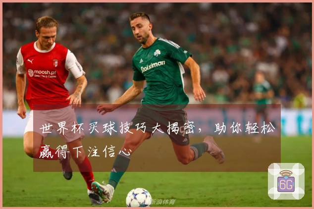世界杯买球技巧大揭密，助你轻松赢得下注信心