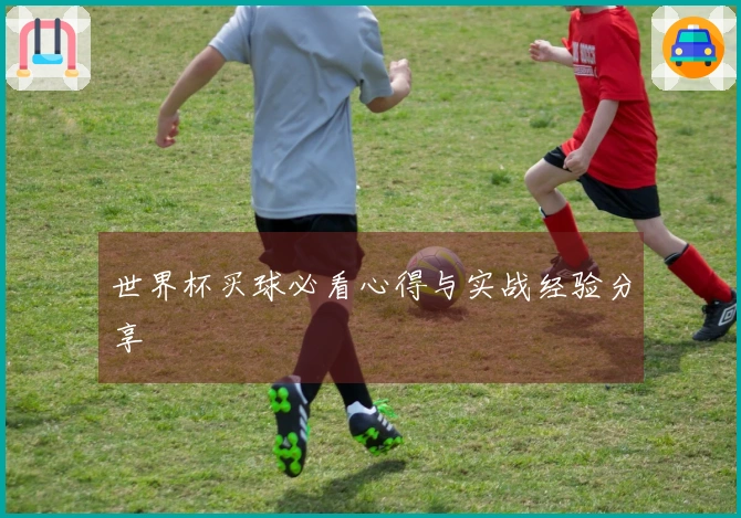 世界杯买球必看心得与实战经验分享