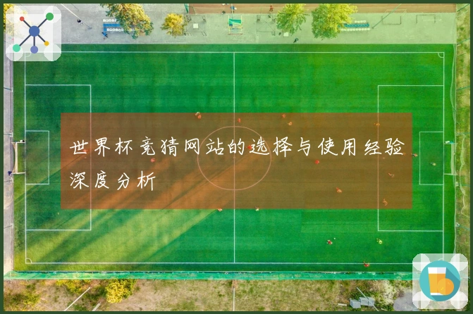 世界杯竞猜网站的选择与使用经验深度分析