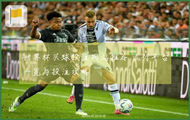 世界杯买球投注网站推荐 流行平台一览与投注攻略