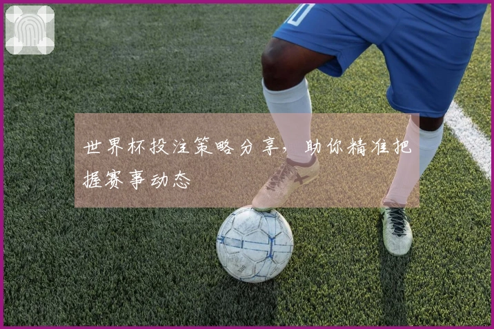 世界杯投注策略分享，助你精准把握赛事动态